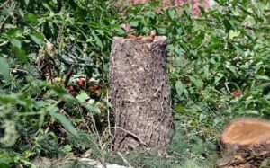 WhatsApp Image 2024-11-11 at 2.08.26 PM