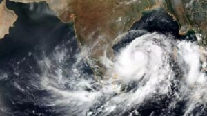 WhatsApp Image 2024-11-11 at 9.52.25 AM